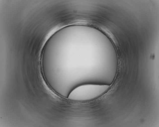 X0000091081475200708061327