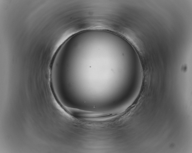 X0000091081476200708061327