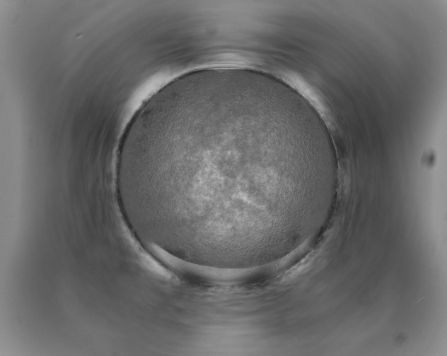 X0000091081477200708061326