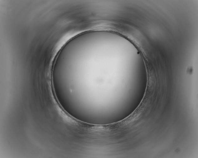 X0000091081478200708061326