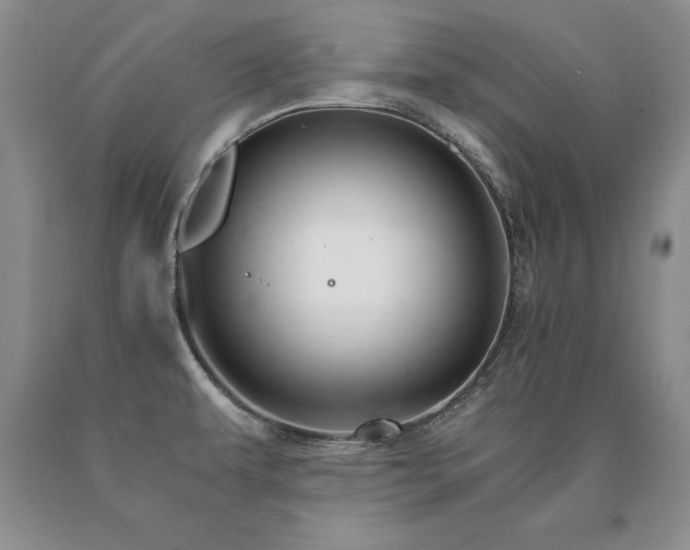 X0000091081479200708061326