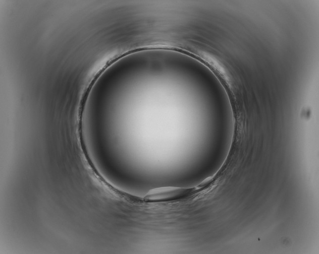 X0000091081480200708061326