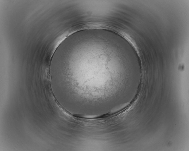 X0000091081481200708061326