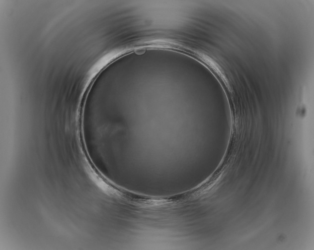 X0000091081482200708061326