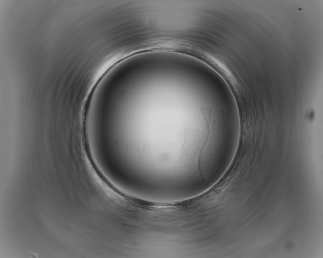 X0000091081483200708061326