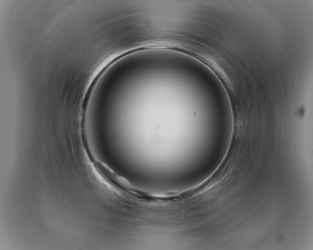 X0000091081484200708061326