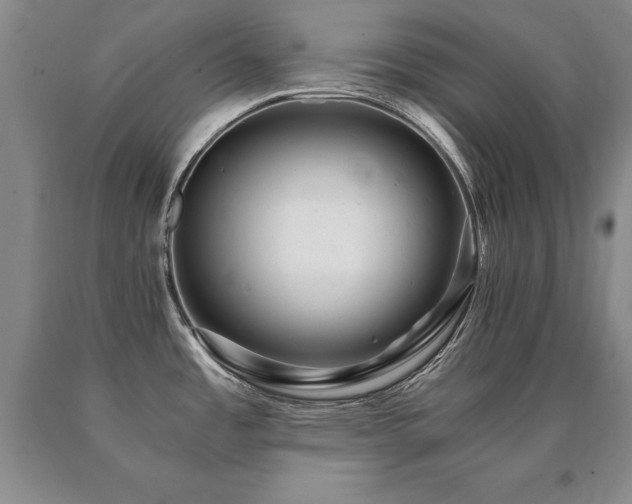 X0000091081485200708061326