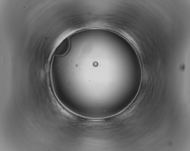 X0000091081486200708061326
