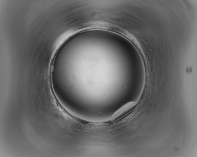X0000091081488200708061326