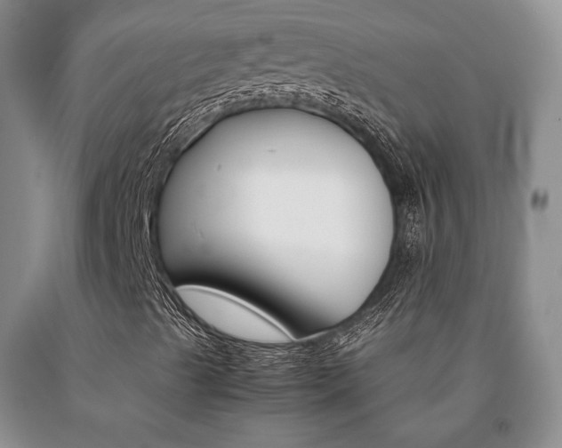 X0000091081489200708061325