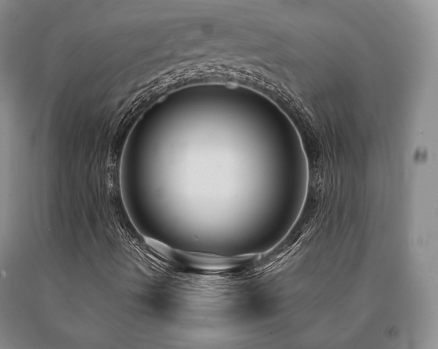 X0000091081490200708061326