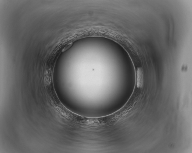 X0000091081491200708061326