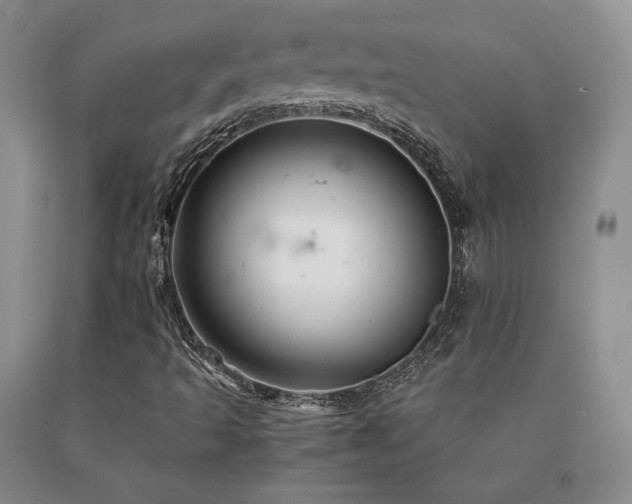 X0000091081493200708061326