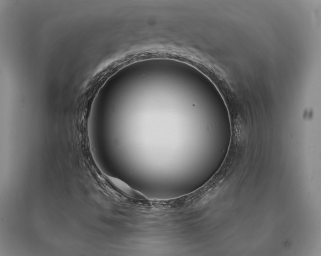 X0000091081494200708061326