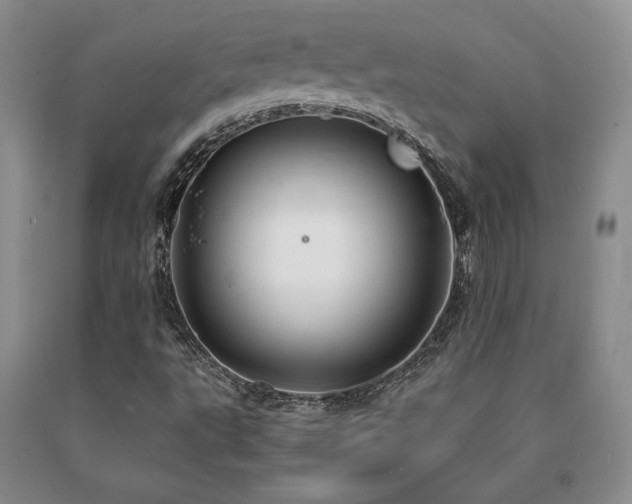 X0000091081495200708061326