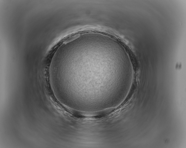 X0000091081496200708061326