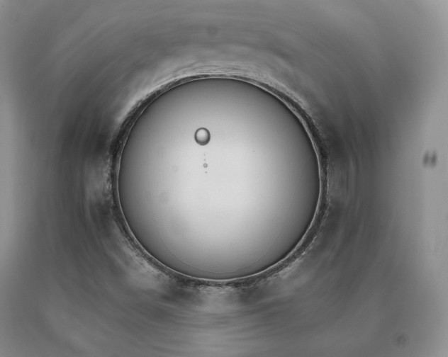 X0000091081498200708061326