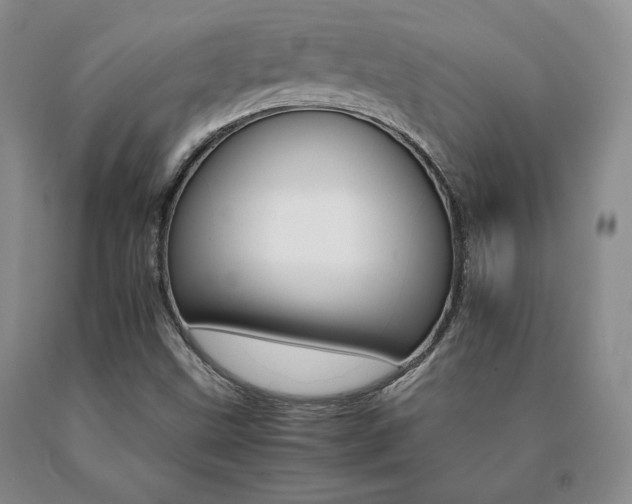 X0000091081499200708061326