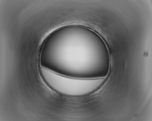 X0000091081500200708061326