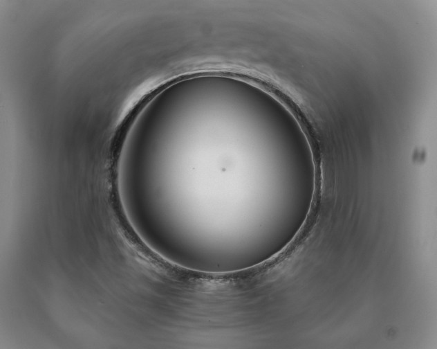 X0000091081501200708061326