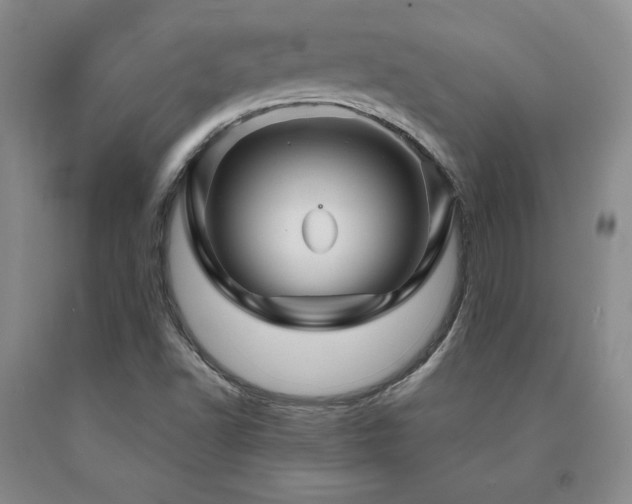 X0000091081502200708061326