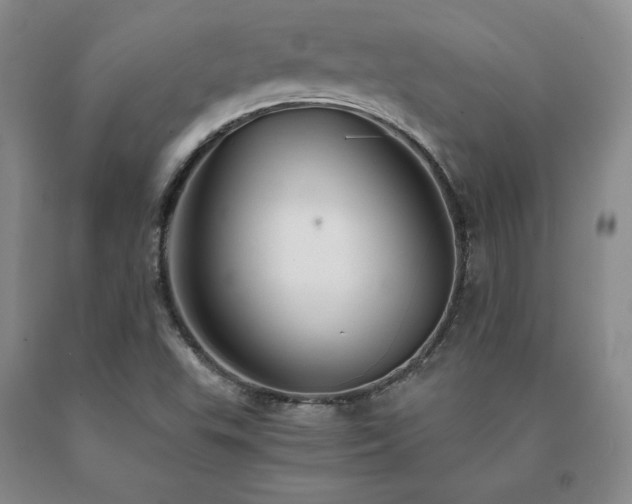 X0000091081503200708061326