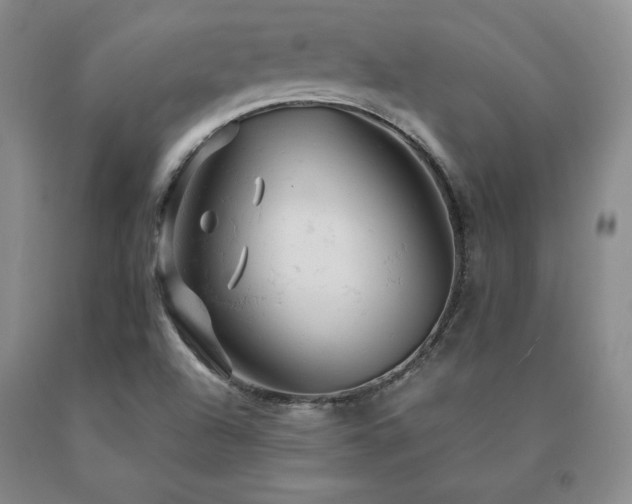 X0000091081504200708061326