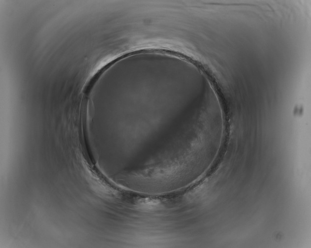 X0000091081505200708061326