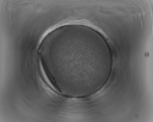 X0000091081506200708061326