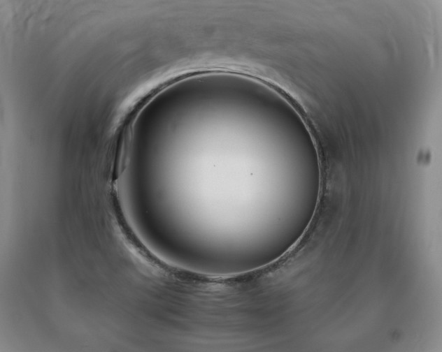 X0000091081507200708061326
