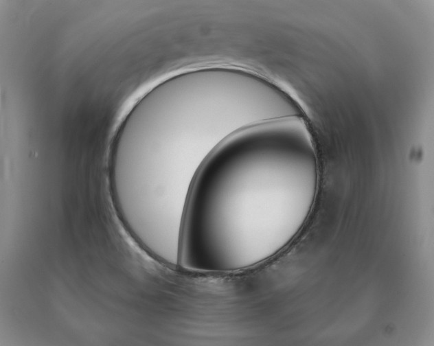 X0000091081508200708061326