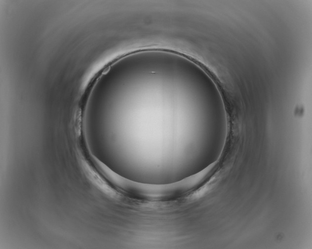 X0000091081510200708061326