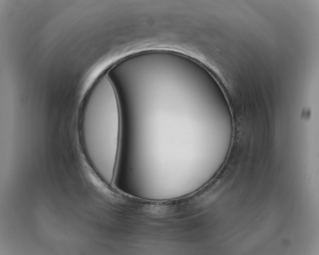 X0000091081511200708061326