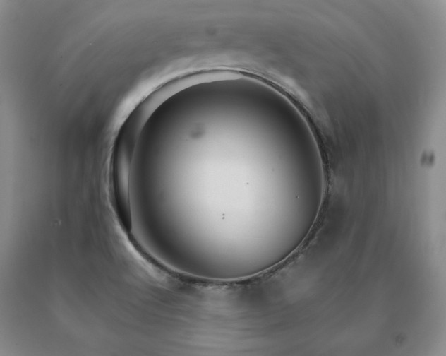 X0000091081512200708061326