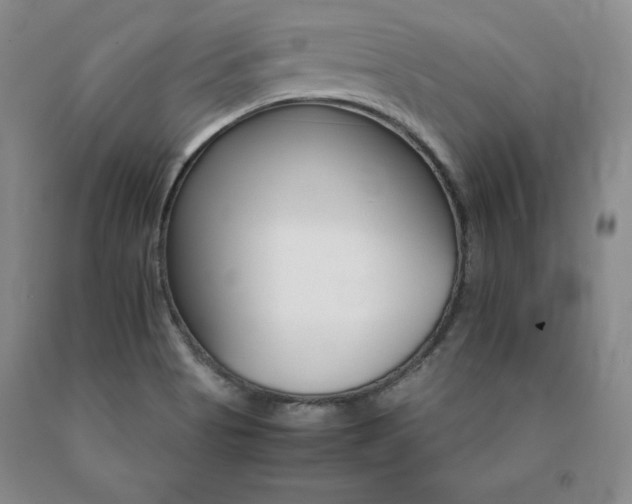 X0000091081513200708061326
