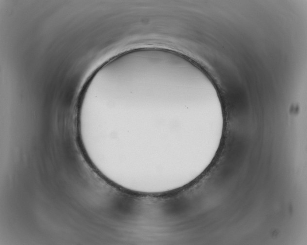 X0000091081514200708061326