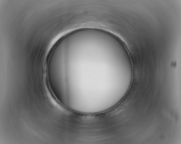 X0000091081515200708061326
