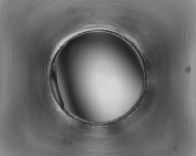 X0000091081516200708061326
