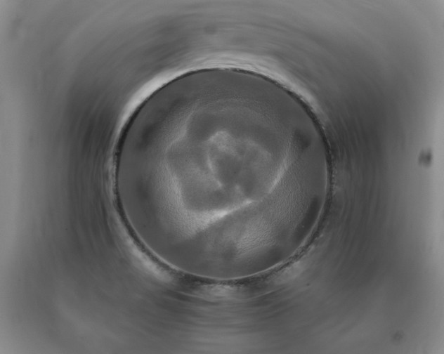 X0000091081517200708061326
