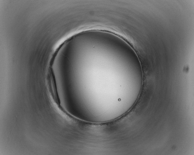 X0000091081518200708061326