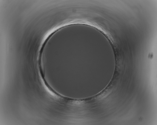 X0000091081519200708061326
