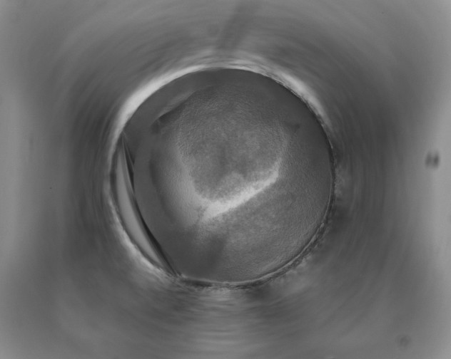 X0000091081520200708061326