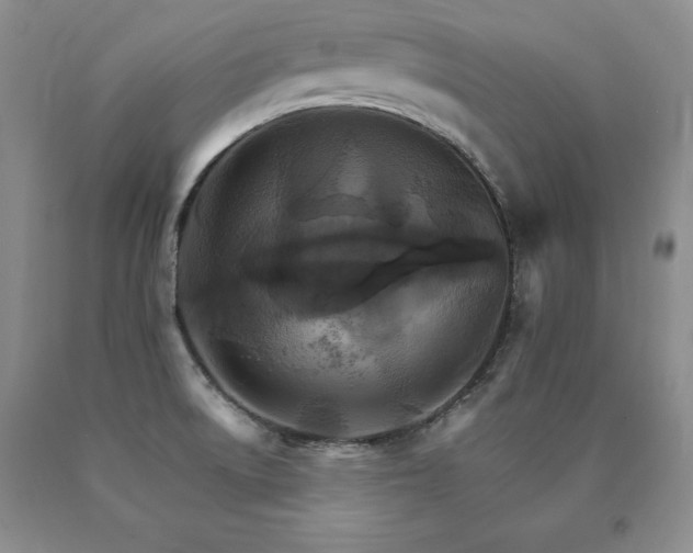 X0000091081522200708061326