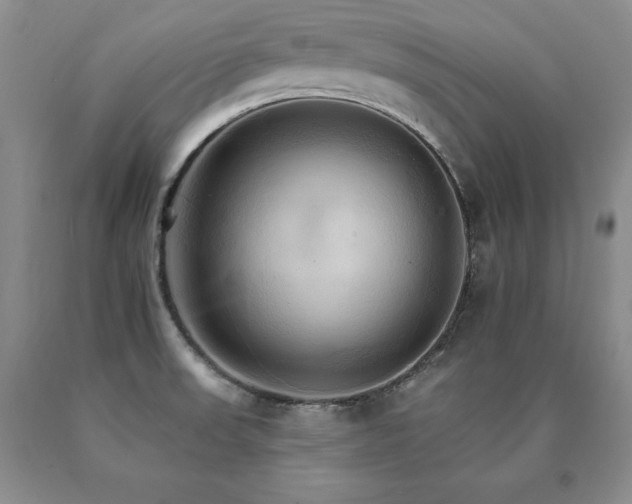X0000091081523200708061326