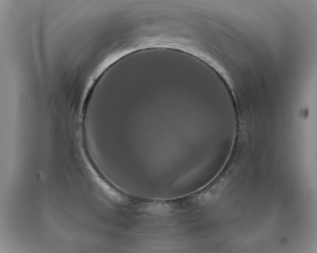 X0000091081525200708061326
