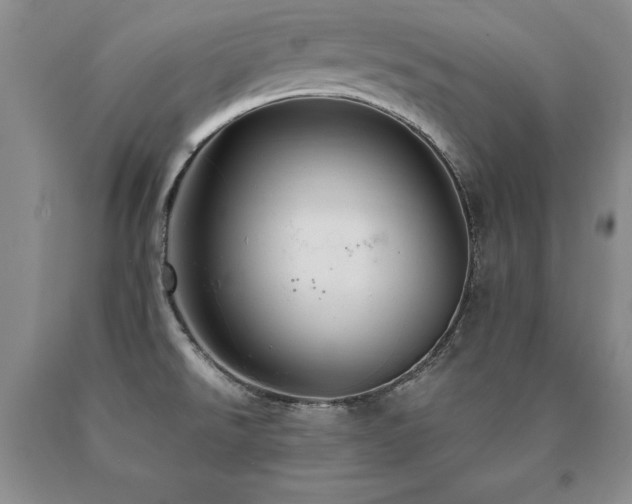 X0000091081526200708061326