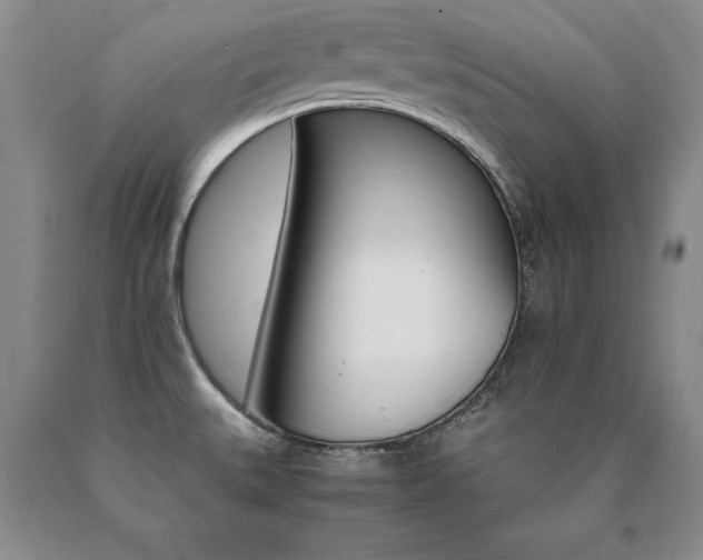 X0000091081527200708061326