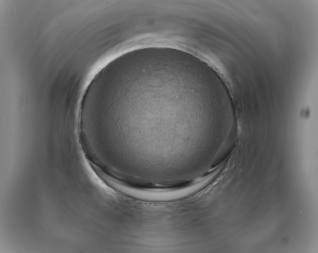 X0000091081528200708061326