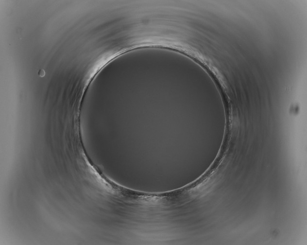 X0000091081529200708061326