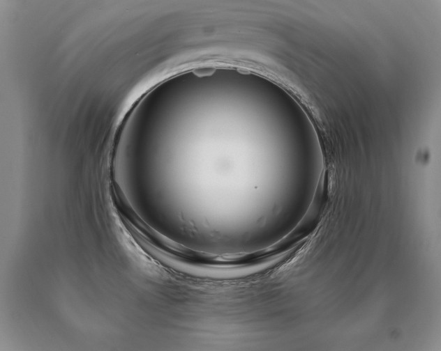 X0000091081530200708061326